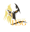 HSG EMPRESARIAL